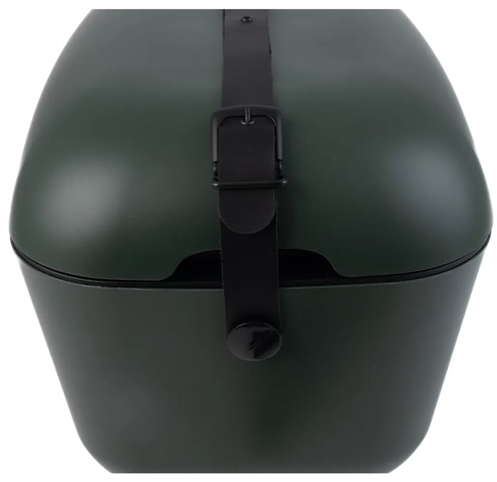 Polarbox Cutie de răcire Classic Black 20 l, verde, 20 l