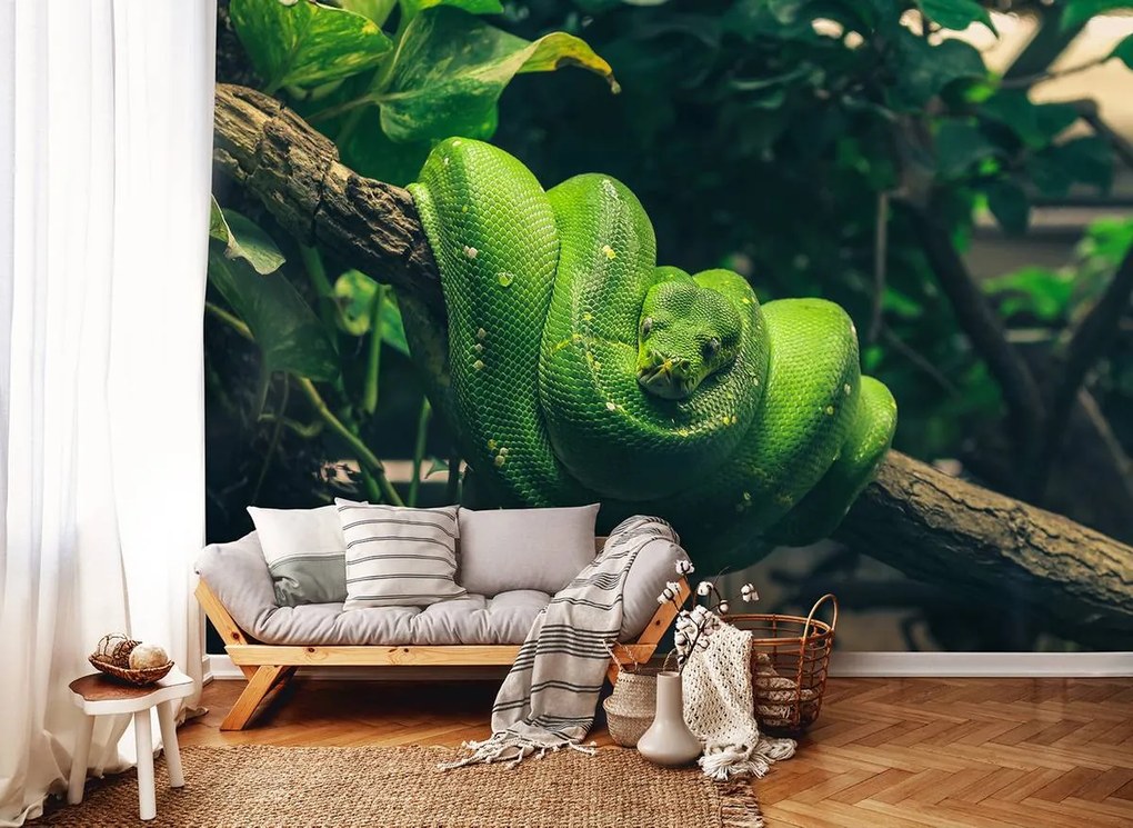 Fototapet - Șarpele verde (152,5x104 cm)