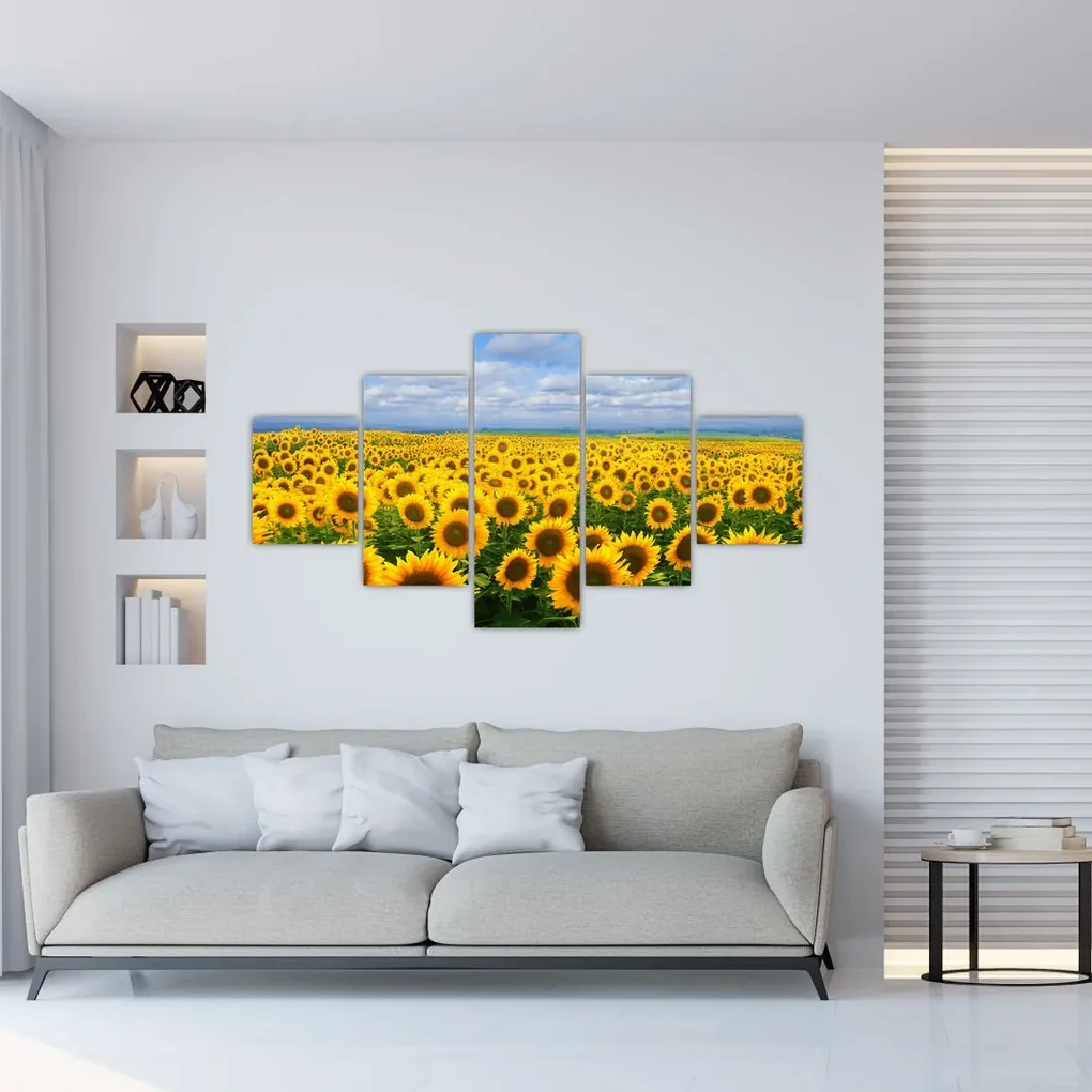Tablou cu lan de floarea soarelui (125x70 cm), în 40 de alte dimensiuni noi