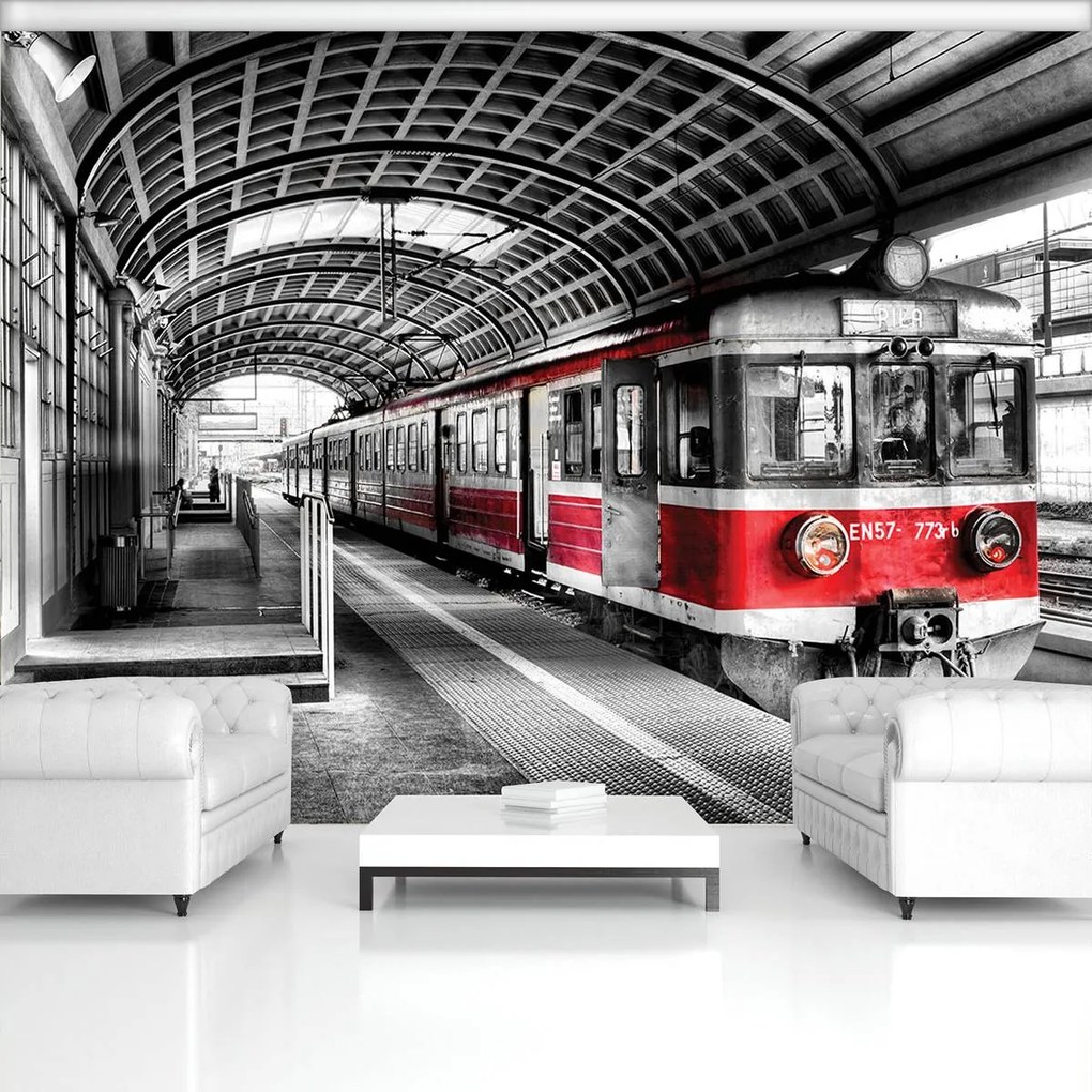 Fototapet - Tren (254x184 cm)