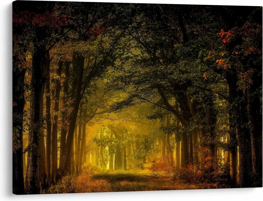 Tablou cu pădure (70x50 cm)