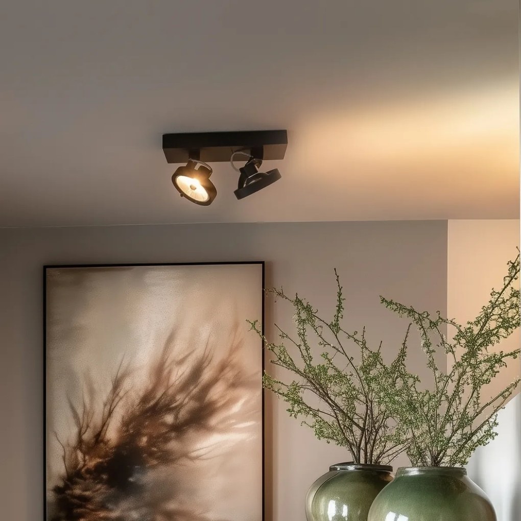 Spotlight de design negru reglabil cu 2 lumini - Go