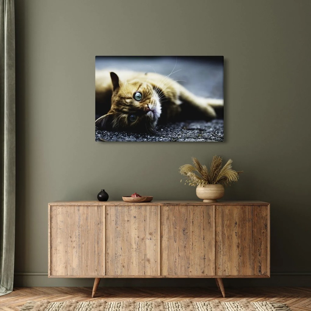 Tablou cu pisica (90x60 cm)