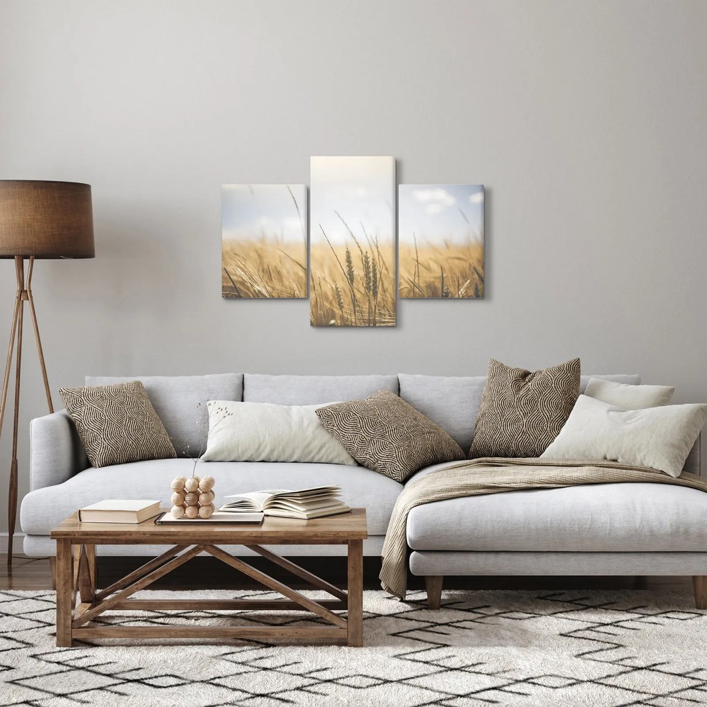 Tablou cu grâne (90x60 cm)