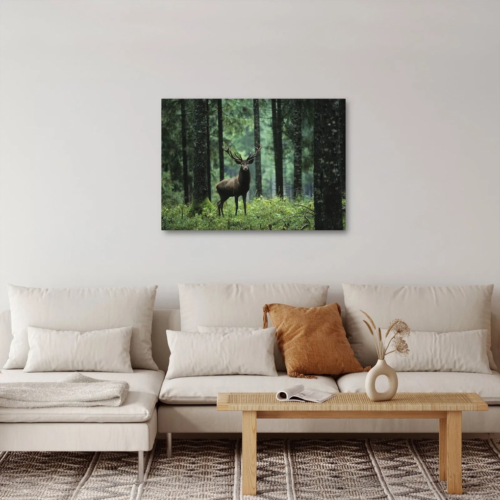 Tablou - Cerb în pădurea adâncă (70x50 cm)