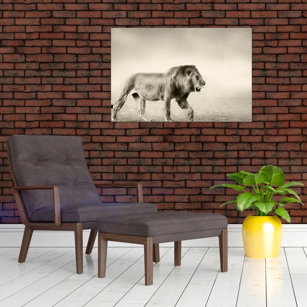 Tablou - Leul flămând (90x60 cm)
