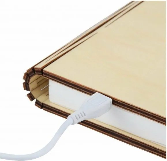 Decorațiune luminoasă în culoare naturală cu USB Booklight – Gingko