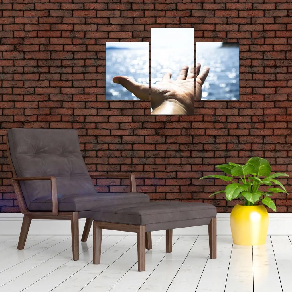 Tabloul cu palma deschisă (90x60 cm)