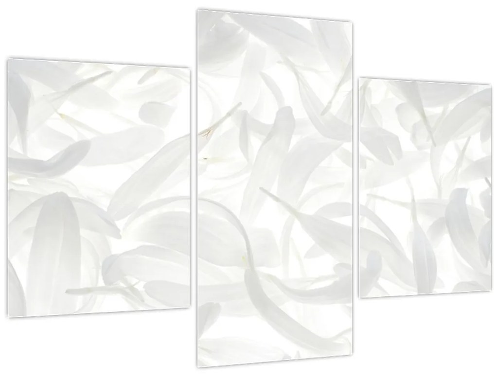 Tablou - Petale de frunze (90x60 cm)