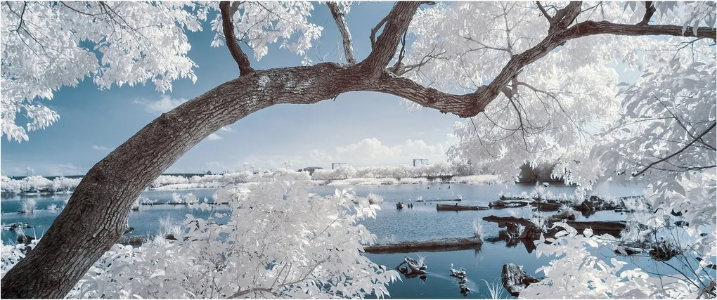 Tablou cu copac înzăpezit lângă apă (120x50 cm)