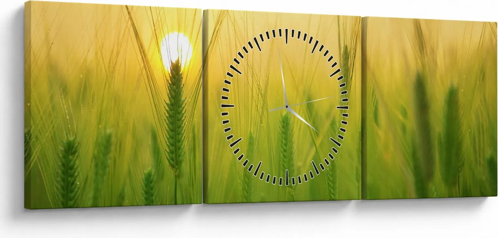 Tablou - Câmp cu cereale (cu ceas) (90x30 cm)