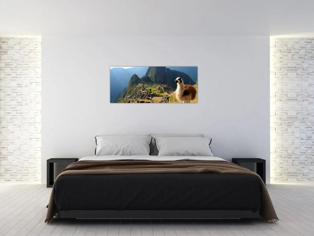 Tablou - Lama și Machu Picchu (120x50 cm)