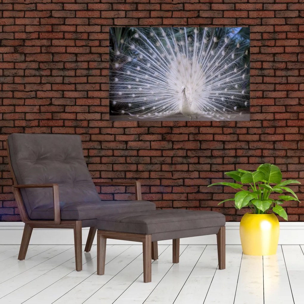 Tablou - Păun alb (90x60 cm)