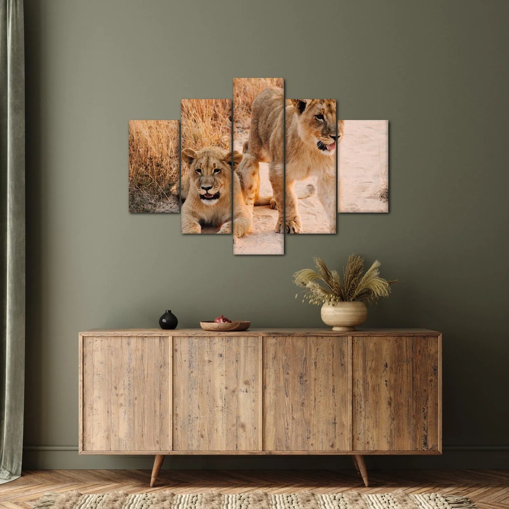 Tablou cu pui de leu (150x105 cm)