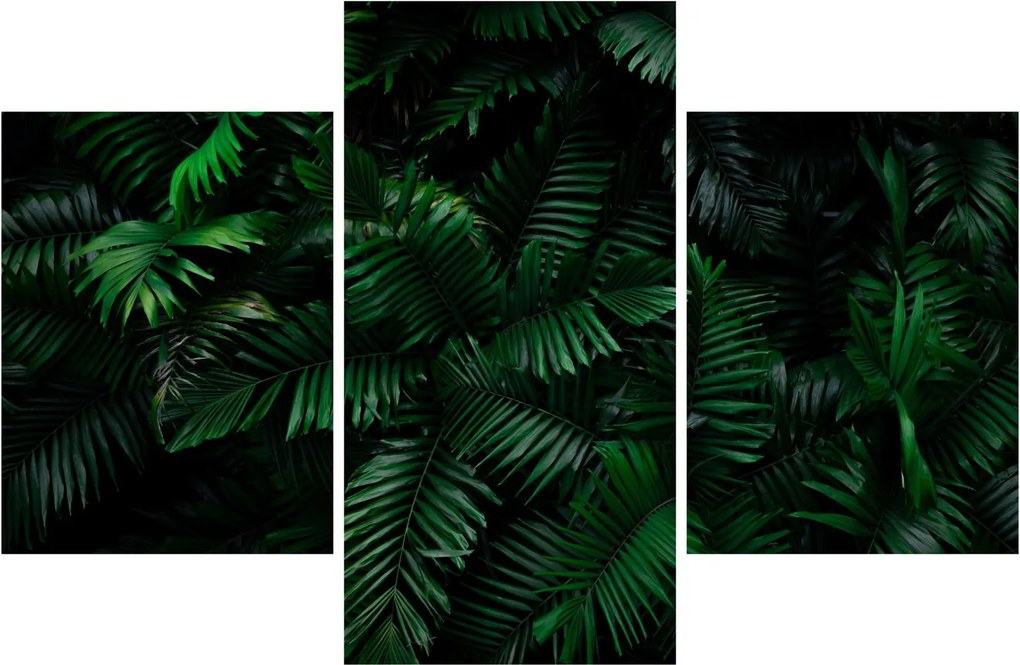 Tablou - Păpădii tropicale (90x60 cm)