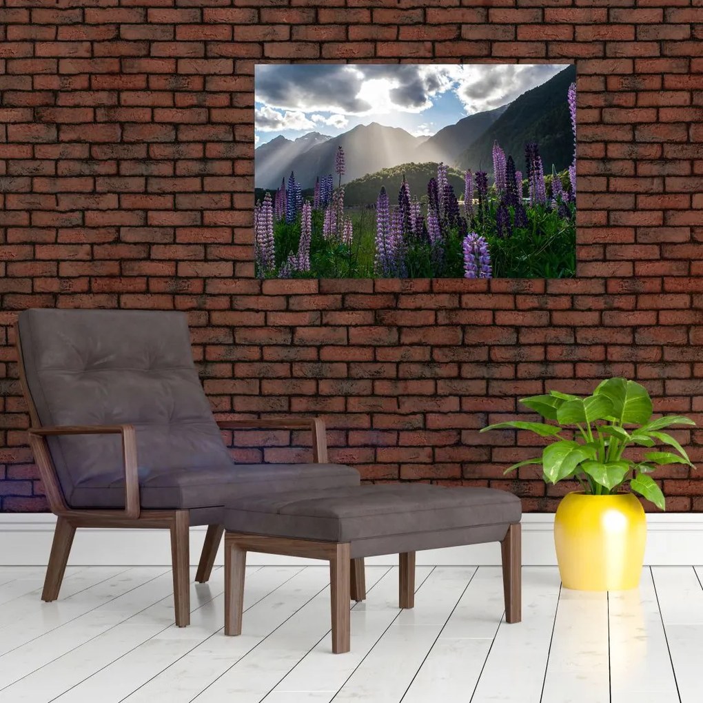 Tablou - scenariu cu flori de Lupin (90x60 cm)