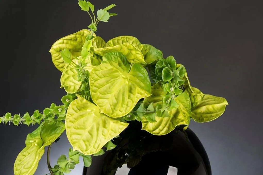 Aranjament floral design LUX ANTHURIUM 1142103.60