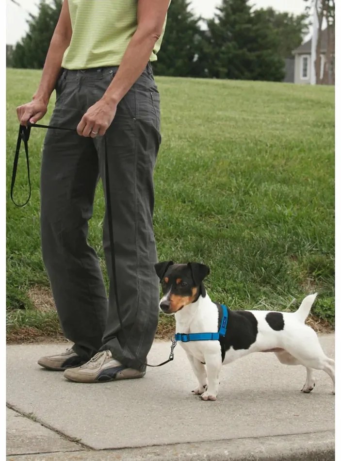 PetSafe Harness EasyWalk Deluxe albastru mărimea M