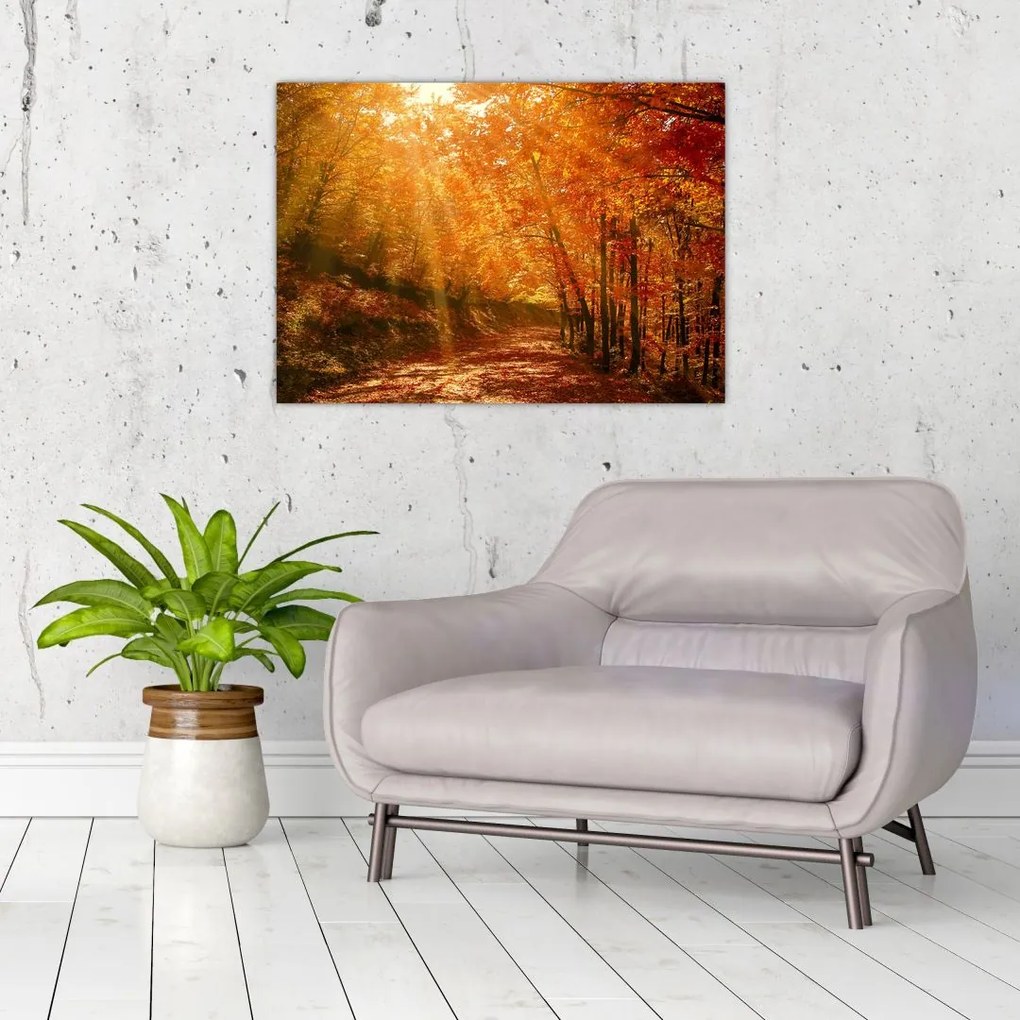 Tablou pe sticlă cu pădurea în toamnă (70x50 cm)