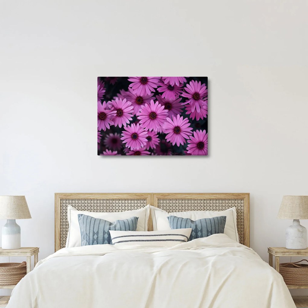Tablou cu florile roz (70x50 cm)