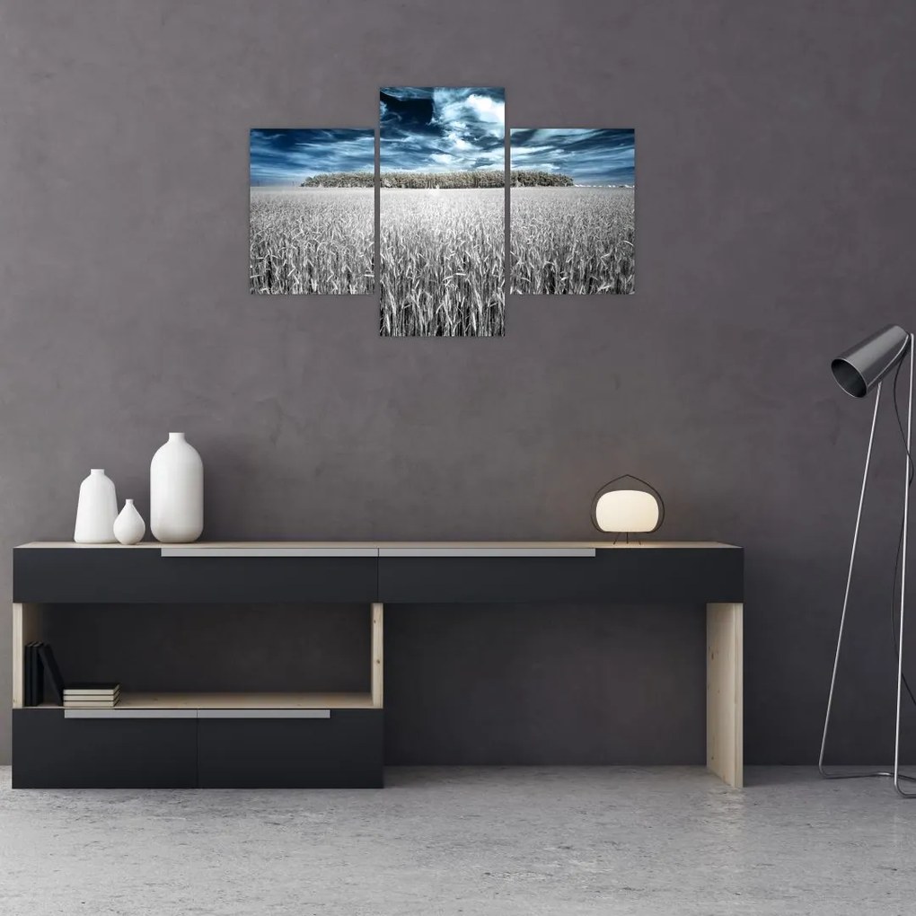 Tablou cu câmp (90x60 cm)