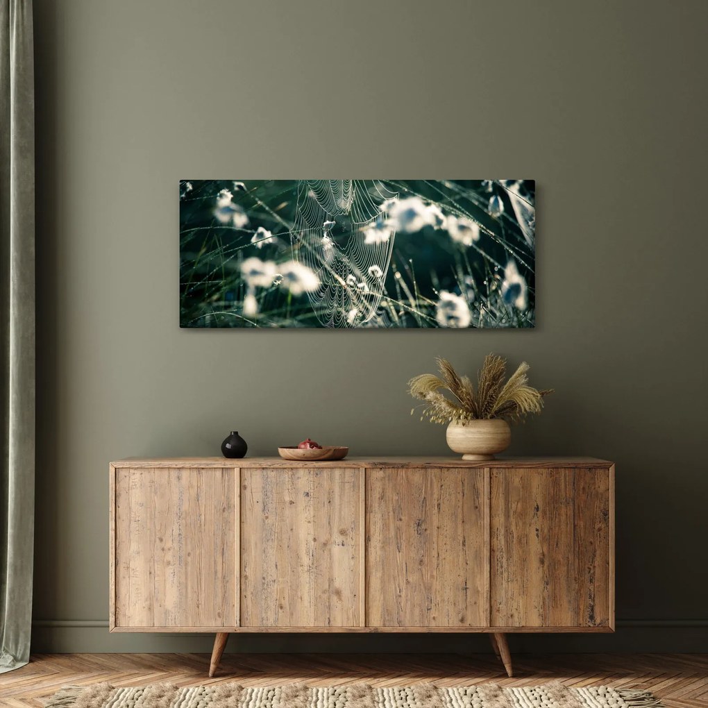 Tablou - Pânză de păianjen (120x50 cm)
