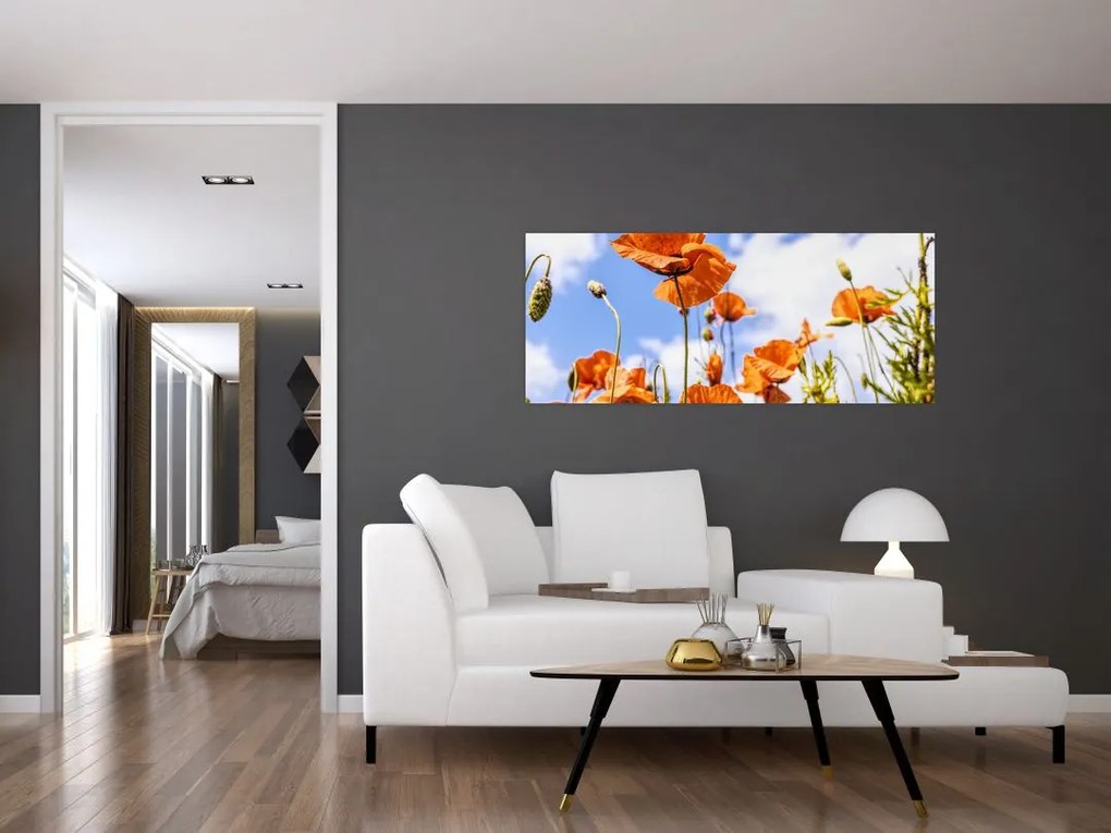 Tablou cu macii (120x50 cm)