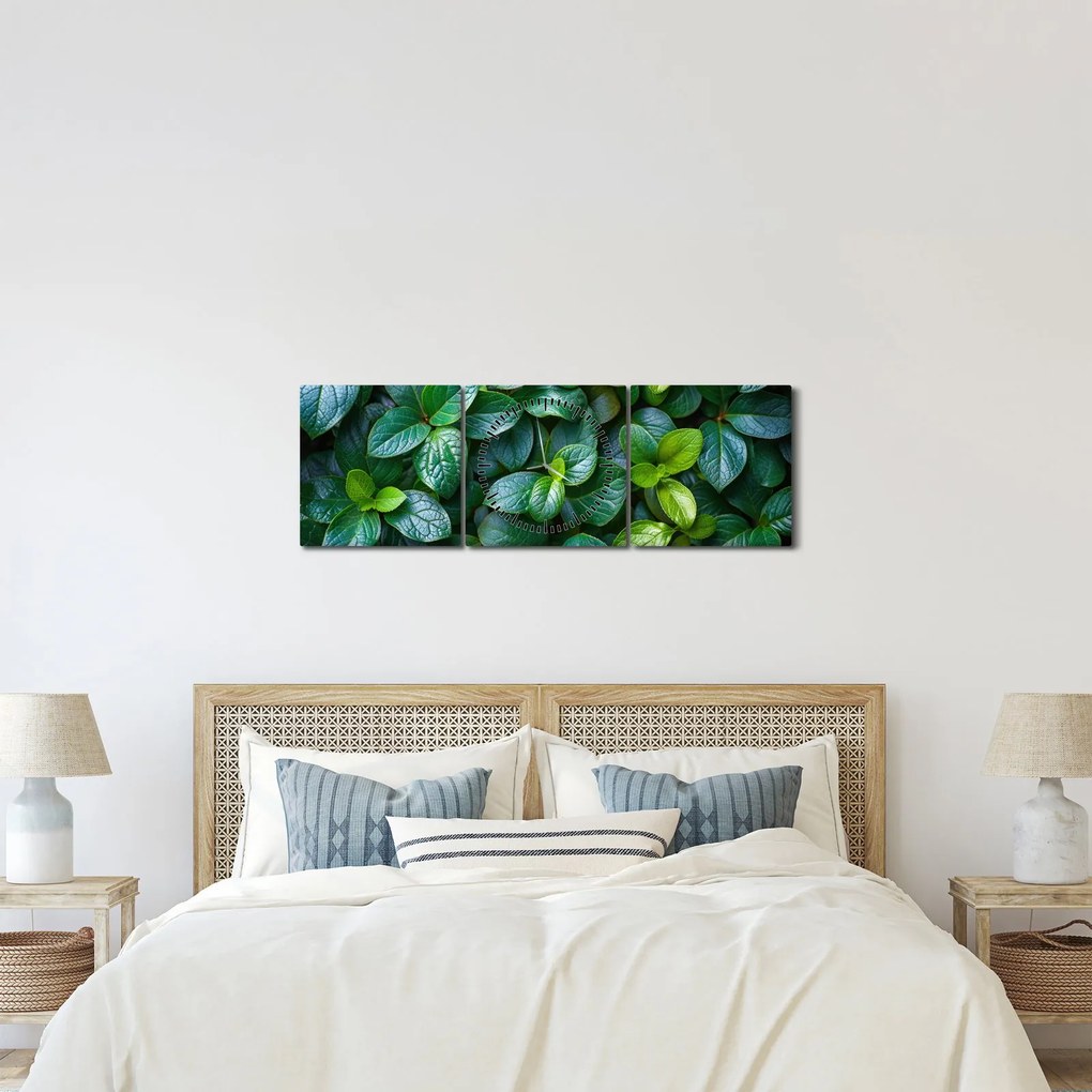 Tablou - Plante verzi (cu ceas) (90x30 cm)