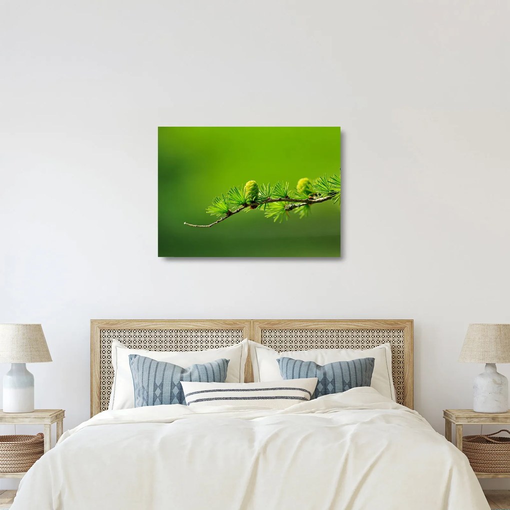 Tablou pe sticlă con verde (70x50 cm)