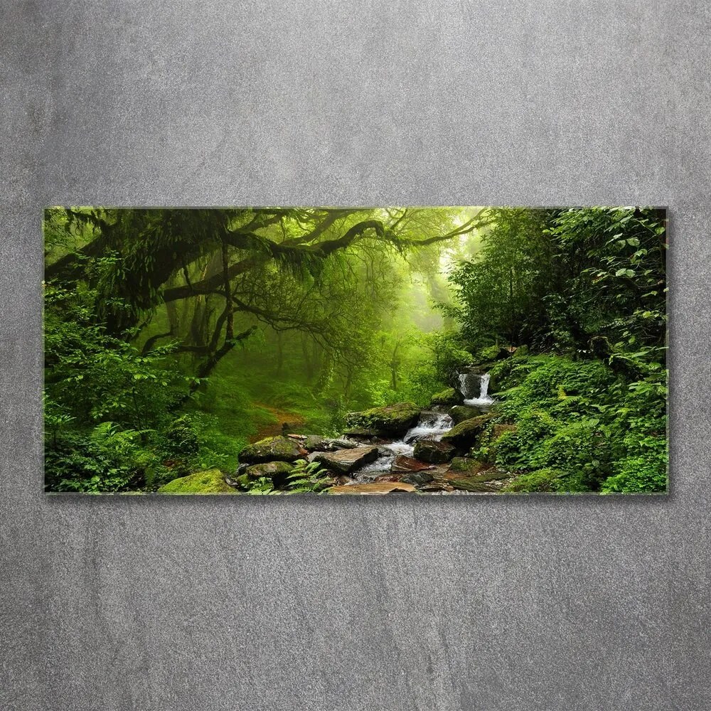 Tablou pe sticlă acrilică Jungle în nepal