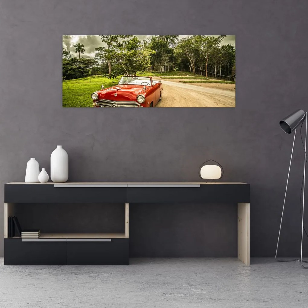 Tablou - mașina veteran în natură (120x50 cm)
