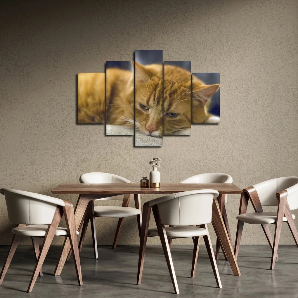 Tablou cu pisica (150x105 cm)
