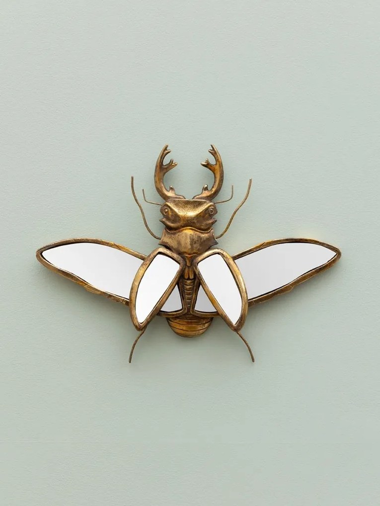 Oglinda decorativa, de perete, din rasina, Beetle