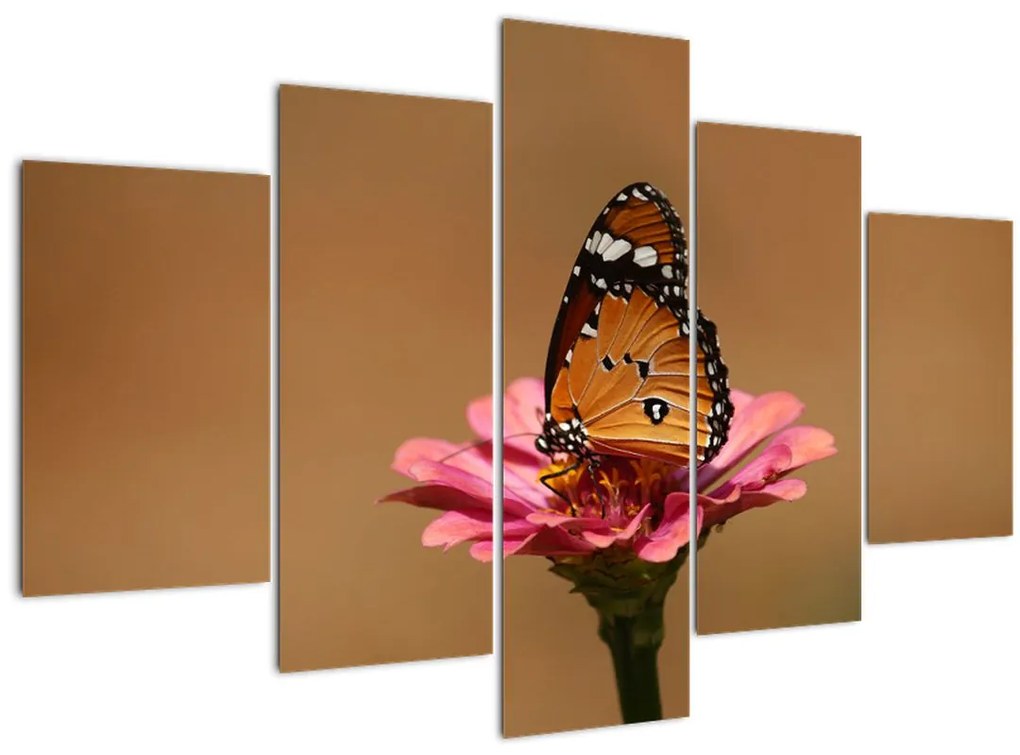 Tablou cu fluture pe floare (150x105 cm)