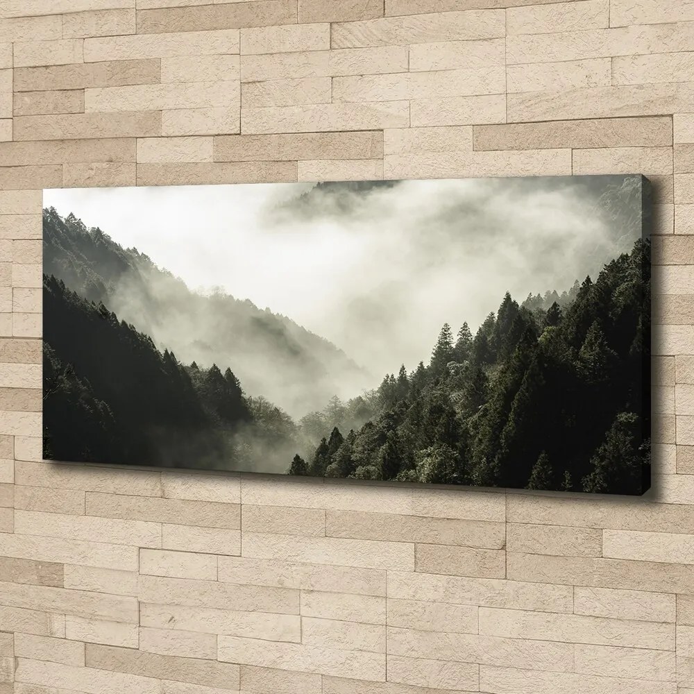 Tablou pe pânză canvas Ceață peste pădure