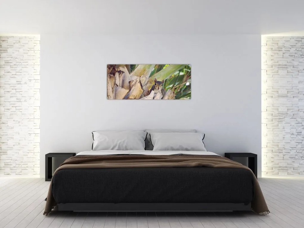 Tablou cu veverița în copaci (120x50 cm)