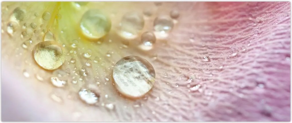 Tablou - Picături (120x50 cm)