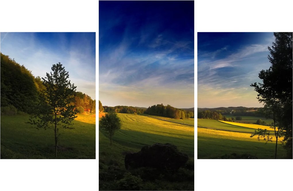 Tablou - Lunca de munte (90x60 cm)