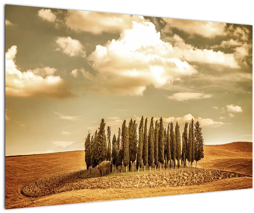 Tablou cu luncă (90x60 cm)