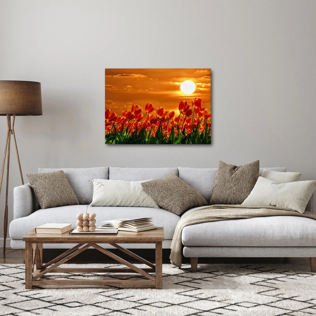 Tablou - lan înflorit de lalele (70x50 cm)