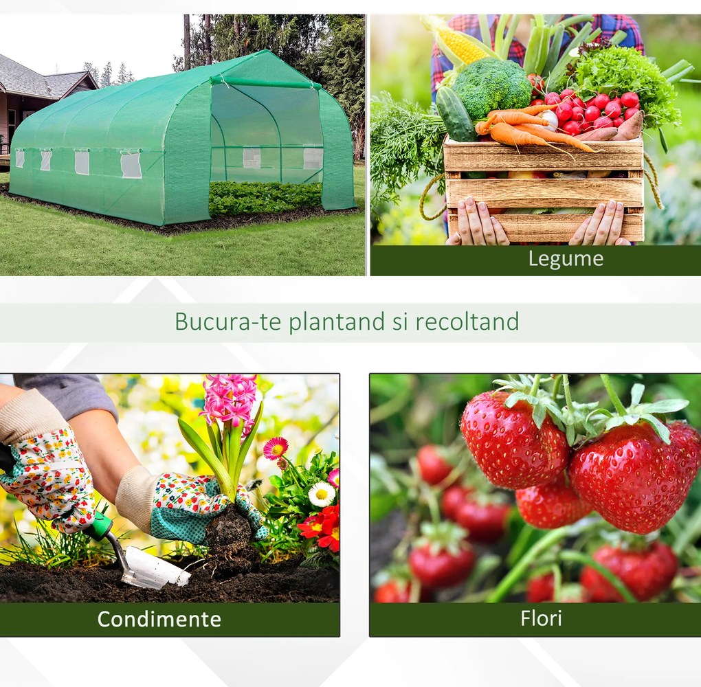 Outsunny Sera Gradina Verde Pentru Legume 6x3x2 | Aosom Romania