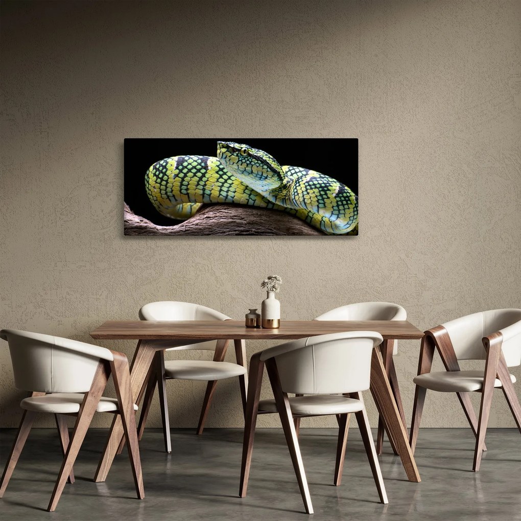 Tablou - Șarpele cu clopoței al lui Wagler (120x50 cm)