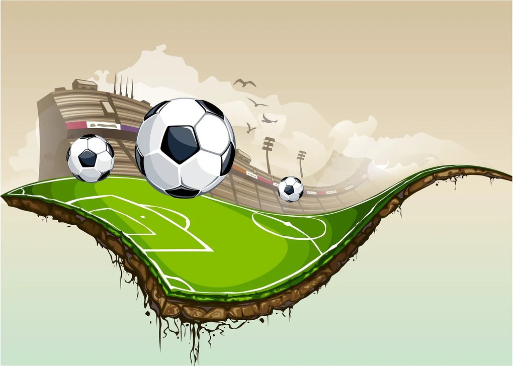 Tablou - Teren de fotbal (70x50 cm)