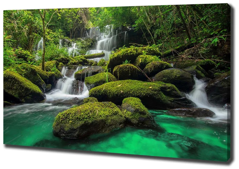 Tablouri tipărite pe pânză Cascada din pădure