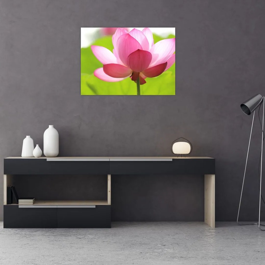 Tablou pe sticlă cu flori de lotus (70x50 cm)