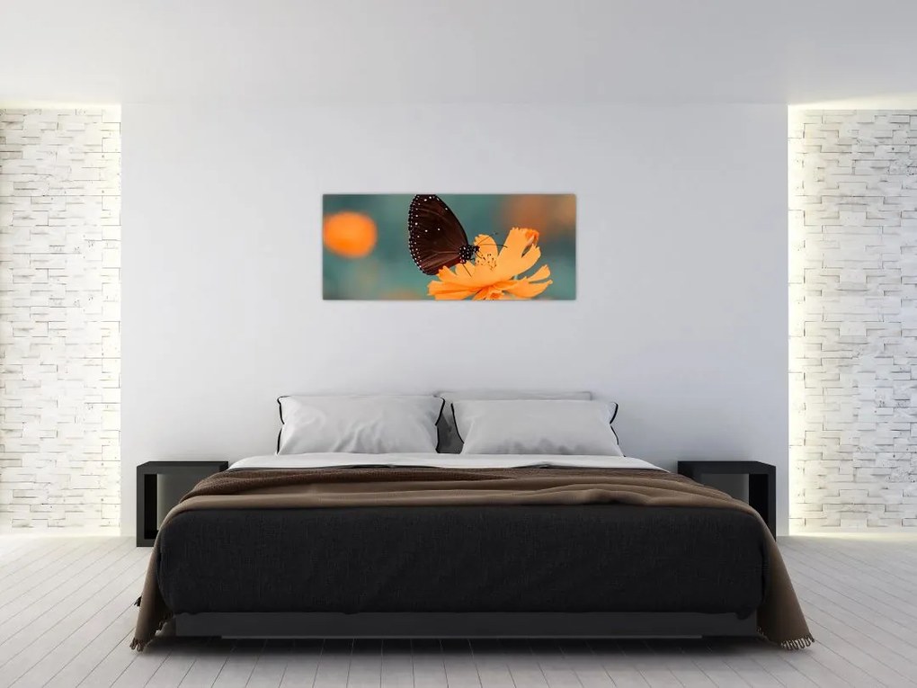 Tablou - fluture pe o floare portocalie (120x50 cm)