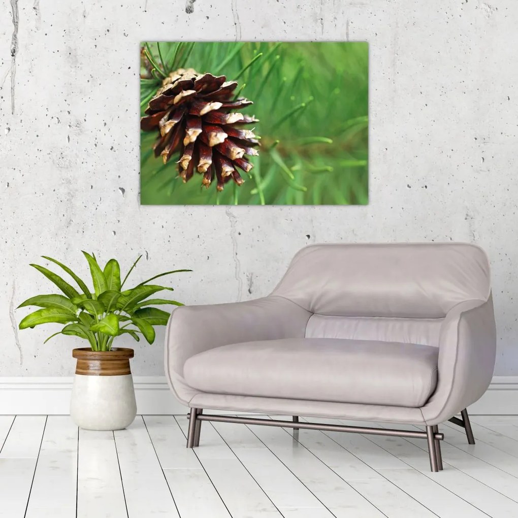 Tablou cu con (70x50 cm)