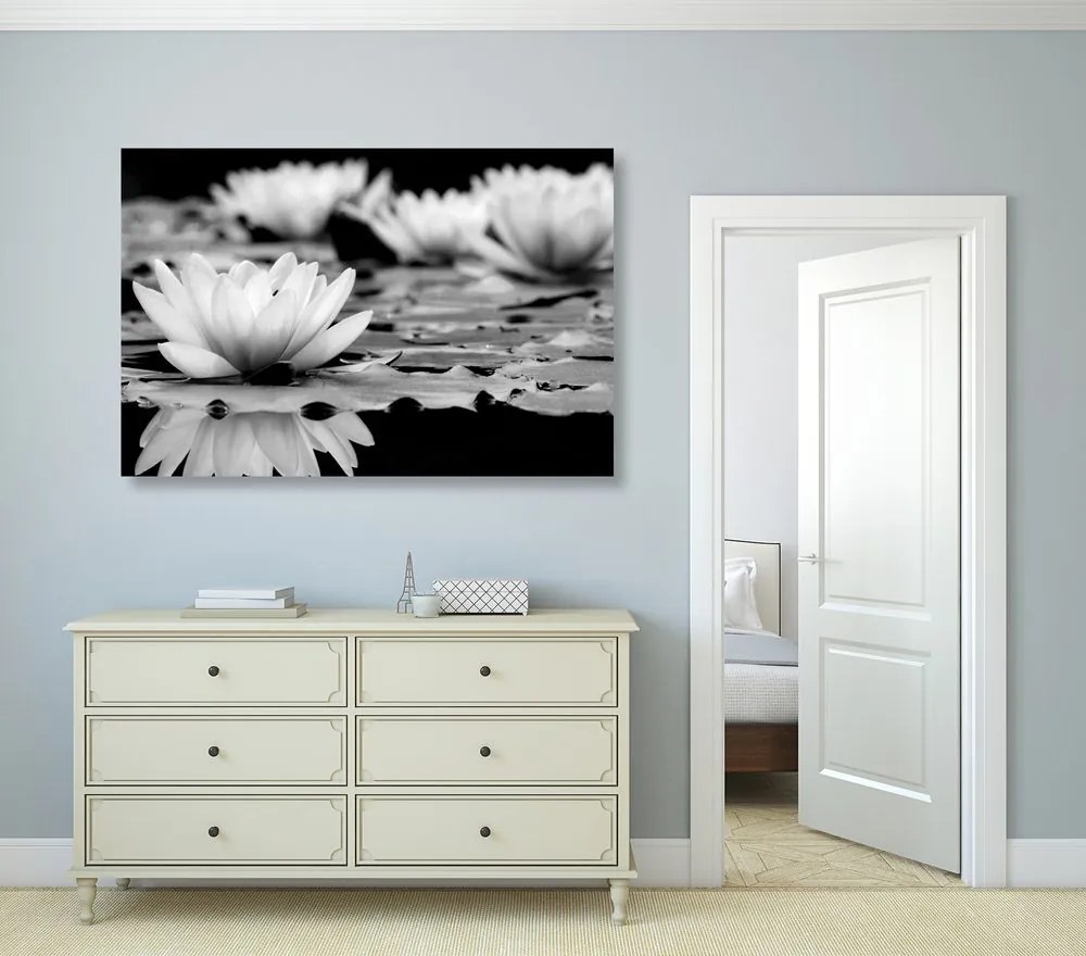 Tablou floare de lotus în design alb-negru