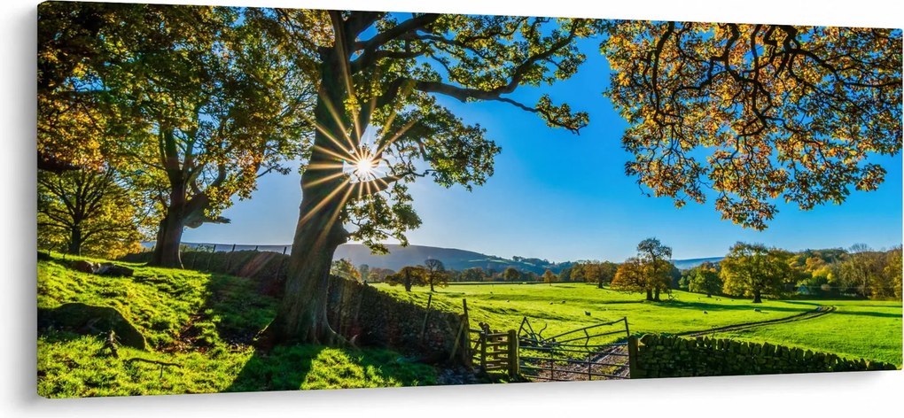 Tablou Privire la câmp (120x50 cm)