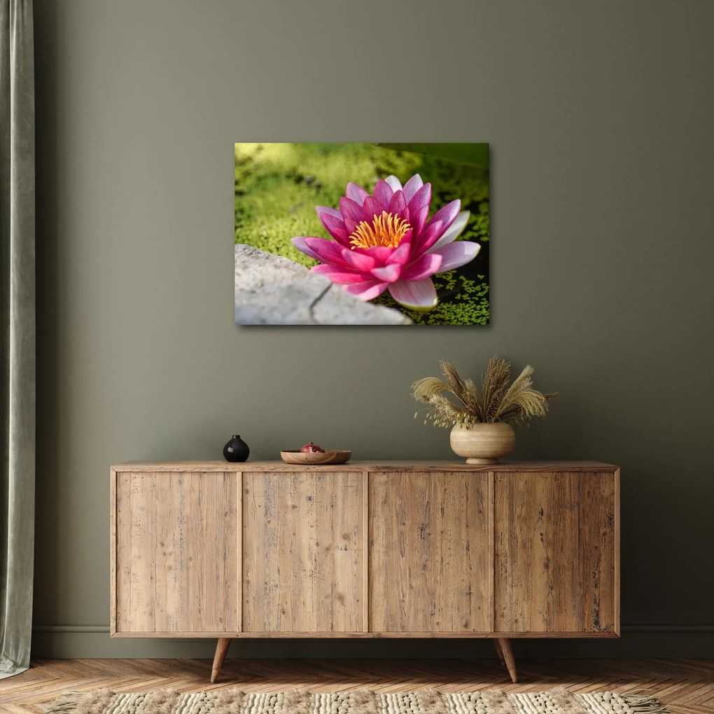 Tablou - Lotus (70x50 cm)